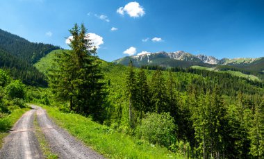 Güzel yaz dağ manzarası. Slovakya 'nın Janska Vadisi' nden alçak Tatras