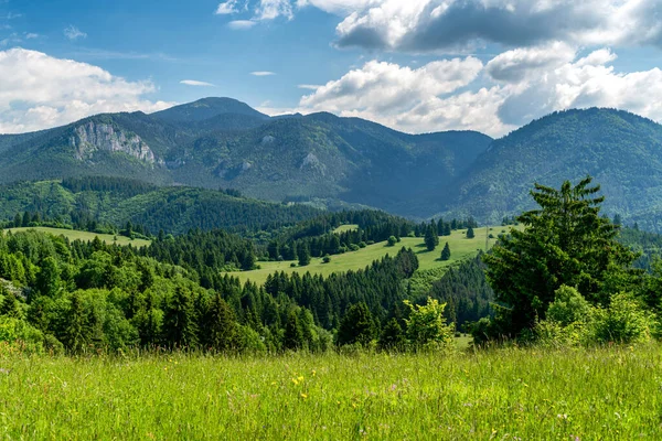 Montanhas Chocske Vrchy Eslováquia — Fotografia de Stock