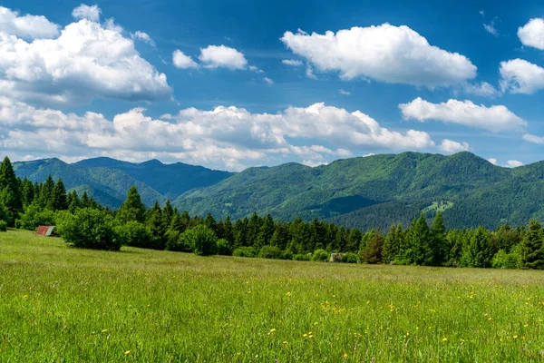 Πράσινο Θερινά Λιβάδια Και Μεγάλη Fatra Βουνά Στο Παρασκήνιο Σλοβακία — Φωτογραφία Αρχείου