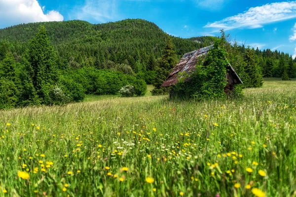Старая Хижина Зеленом Солнечном Лугу Названием Dubovske Luky Словакии — стоковое фото