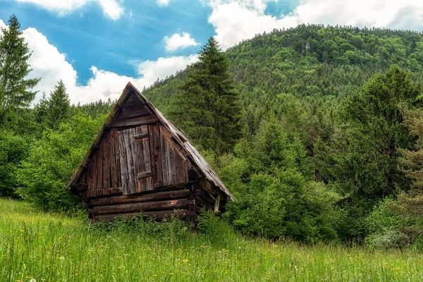 緑の日当たりの良い牧草地で古い小屋Dubovskeゆっくりとスロバキアで呼ばれる セブラットを背景に — ストック写真