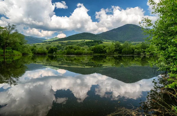 Reflektion Himlen Dammen Beatiful Vatten Reflektioner Träd — Stockfoto