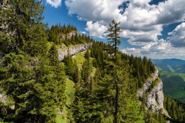 Slovakya 'nın Alçak Tatras dağlarındaki Ohniste Tepesi.