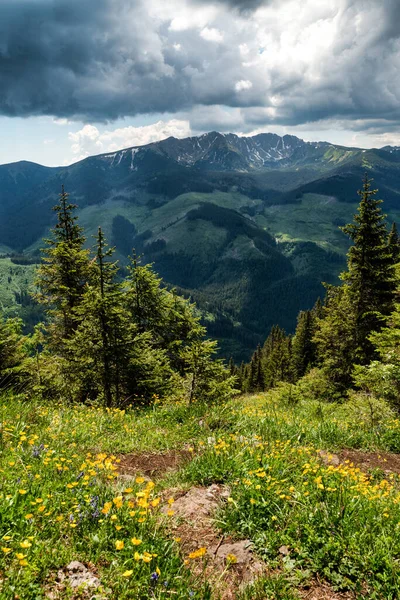 Вид Холма Онисте Горах Низких Татр Словакия Peak Dumbier Заднем — стоковое фото