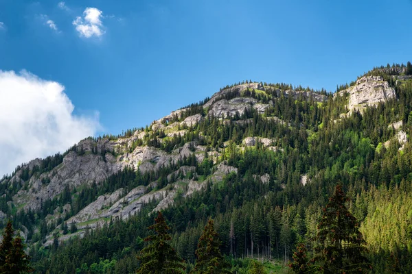 Slovakya Nın Alçak Tatras Dağlarındaki Ohniste Tepesi — Stok fotoğraf