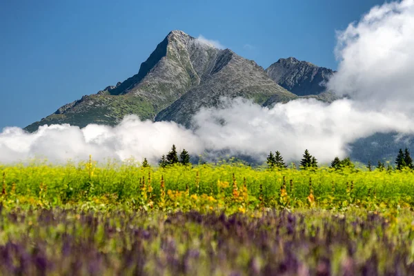 Pico Krivan Altas Montanhas Tatras Eslováquia — Fotografia de Stock