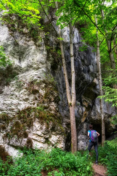 Мандрівник Під Великою Скелею Лісі Районі Під Назвою Prielom Tepleho — стокове фото