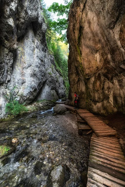 Wandelaar Wandelpad Rotsachtige Canyon Prosiecka Vallei Slowakije — Stockfoto
