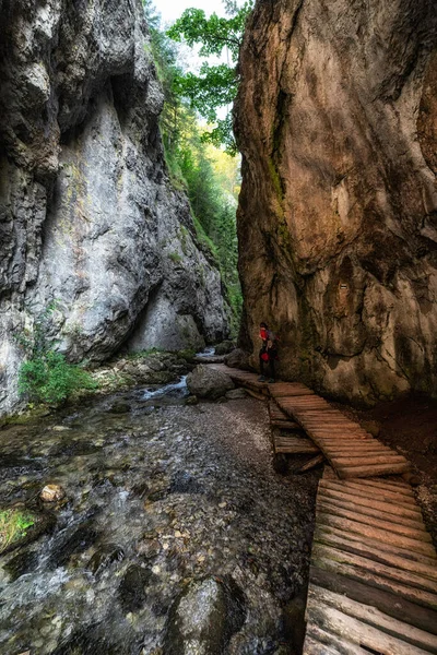 Caminhante Trilha Caminhada Desfiladeiro Rochoso Vale Prosiecka Eslováquia — Fotografia de Stock