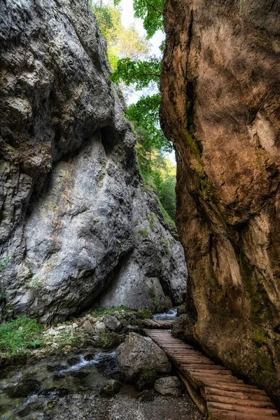 Wandelpad Rotsachtige Canyon Prosiecka Vallei Slowakije — Stockfoto