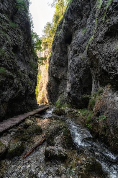 Подорож Скелястому Каньйону Долина Просека Словаччині — стокове фото