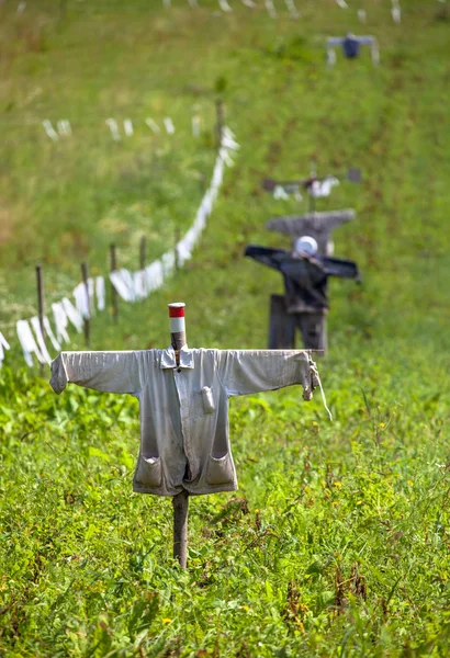 Vogelscheuche auf einem Feld — Stockfoto