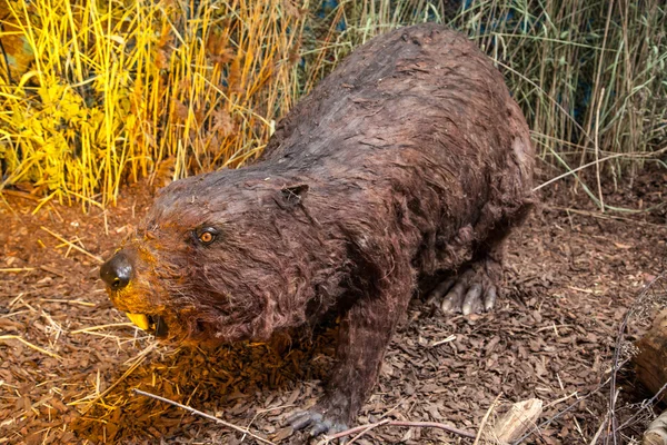 Realistische model van prehistorische dier — Stockfoto