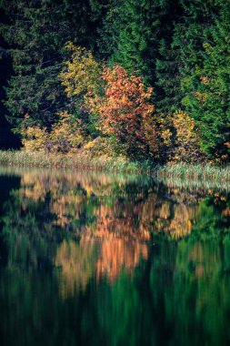 Tarn vrbicke pleso, Slovakya