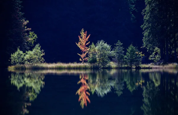 Tarn vrbicke pleso, Szlovákia — Stock Fotó