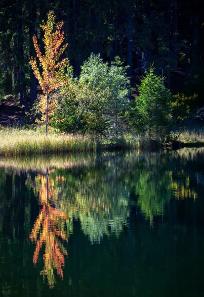 Tarn vrbicke pleso, Słowacja — Zdjęcie stockowe