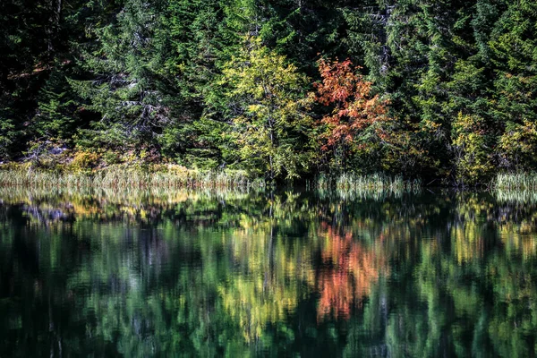 Tarn Vrbicke pleso, Eslovaquia — Foto de Stock