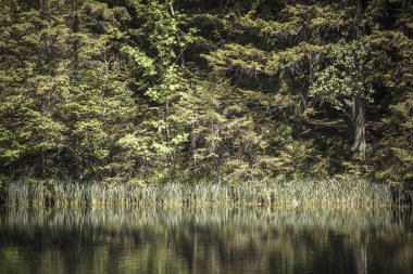 Tarn vrbicke pleso, Slovakya