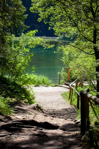 Tarn Vrbicke pleso, Eslováquia — Fotografia de Stock