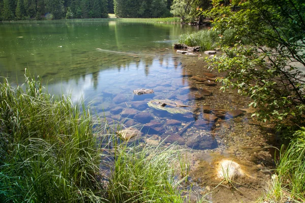 Tarn Vrbicke pleso, Slovakia — Stock Photo, Image