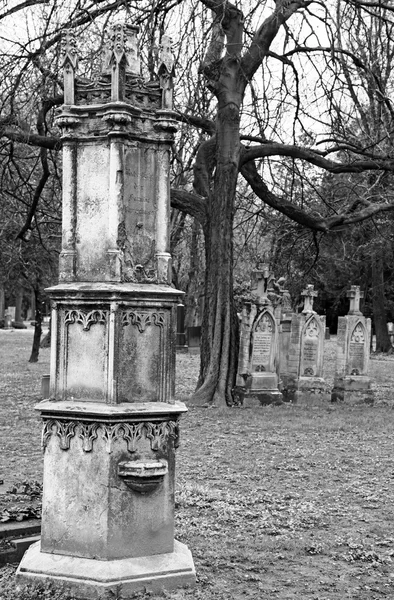 Ondrejsky cemetery, Bratislava — Stock Photo, Image