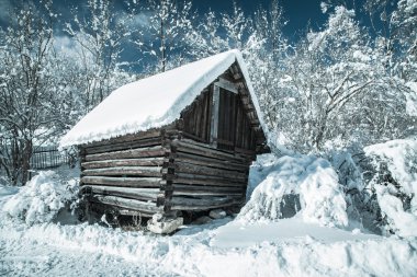 Küçük ülke barınağında