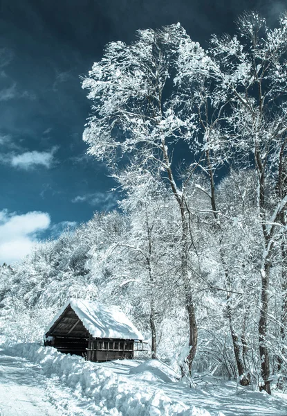 Small shelter at country — Stock Photo, Image