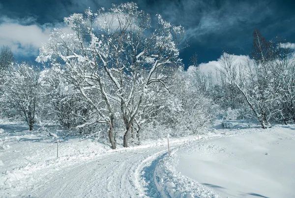 País cubierto de nieve — Foto de Stock