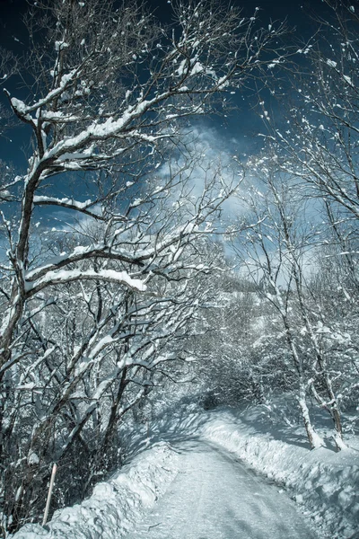 Paese innevato — Foto Stock