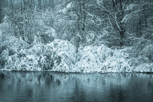 Vinter land — Stockfoto