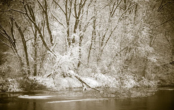 País de invierno — Foto de Stock