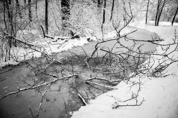 País de invierno —  Fotos de Stock