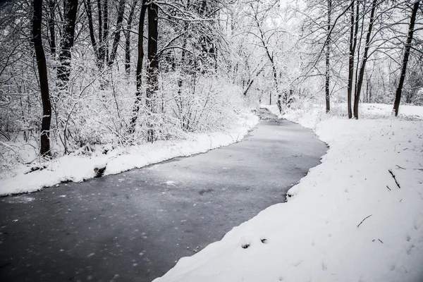 Vinter land — Stockfoto