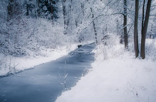 Paese invernale — Foto Stock