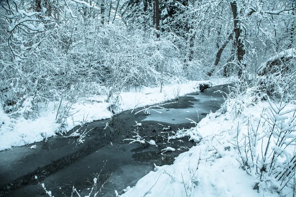 Paese invernale — Foto Stock