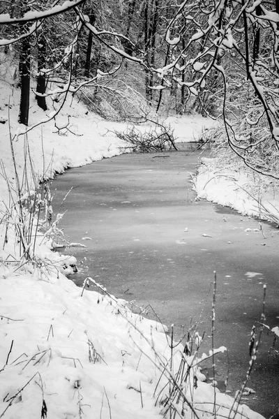 Paese invernale — Foto Stock