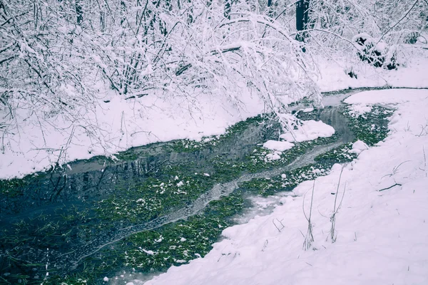 Paese invernale — Foto Stock