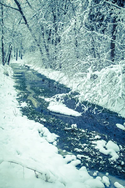Pays d'hiver — Photo