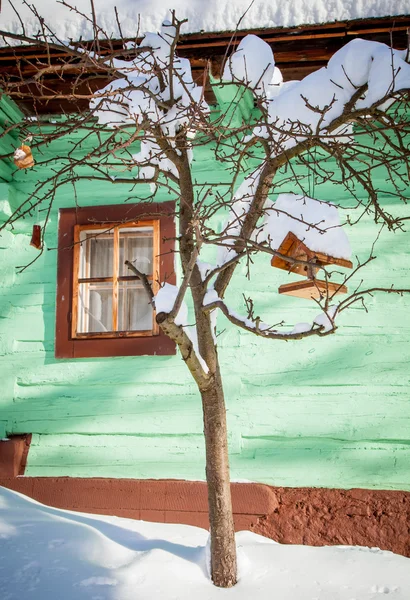 Maison d'oiseaux sur l'arbre devant le chalet — Photo