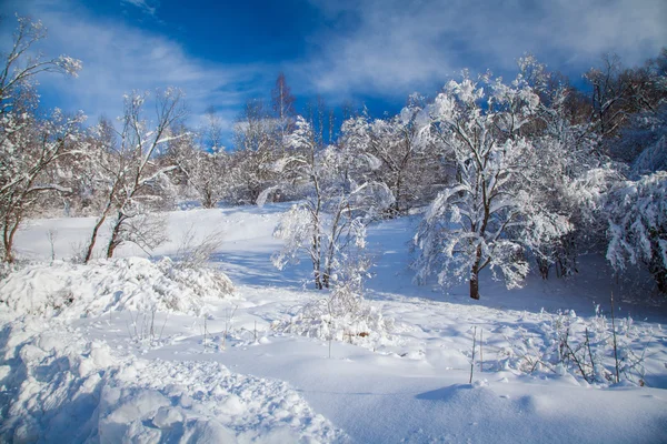Snowy country — Stock Photo, Image