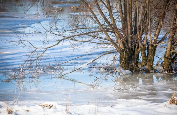 Lac gelé — Photo