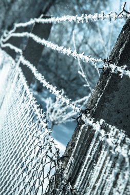 Hoarfrost kafes üzerinde