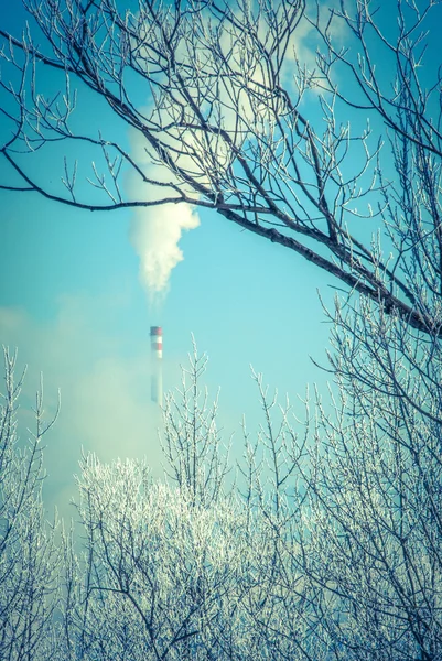 Contaminación ambiental — Foto de Stock