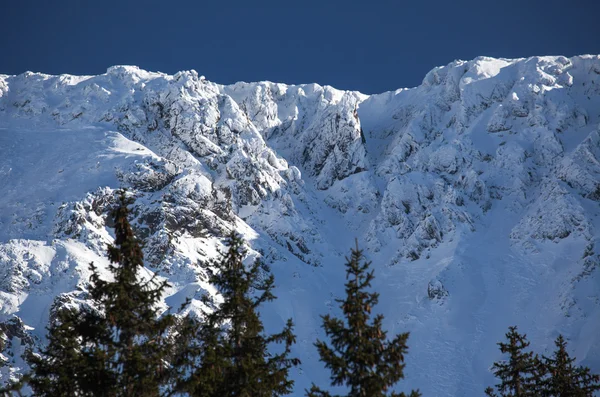 Snöiga berg — Stockfoto