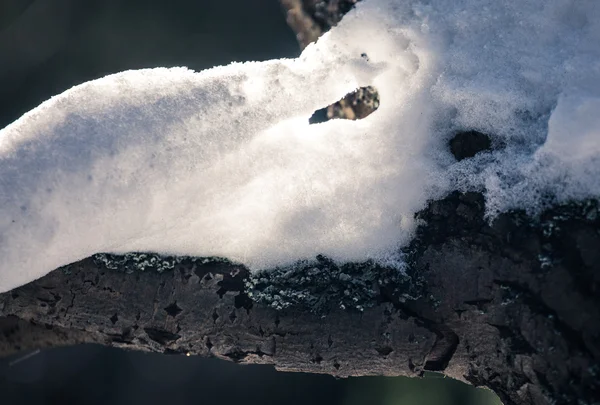Таяние снега — стоковое фото