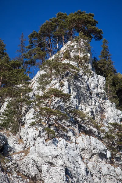 Formazioni rocciose — Foto Stock