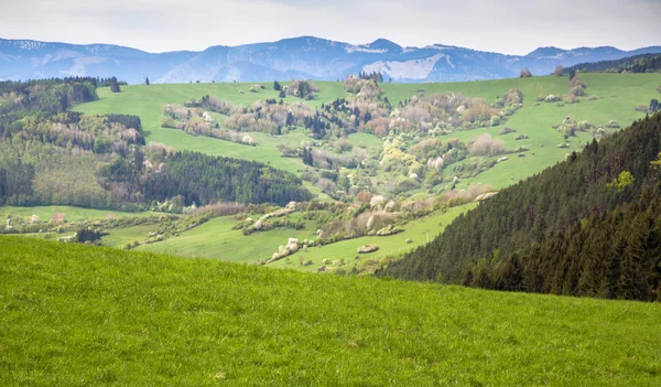 Regionie Liptów na Słowacji — Zdjęcie stockowe