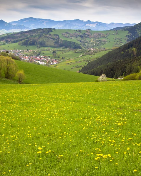 Region liptov na Slovensko — Stock fotografie