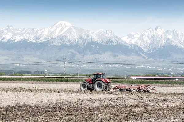 Traktor på fältet — Stockfoto