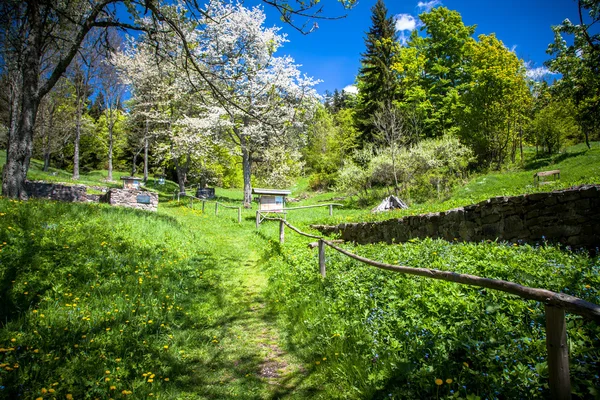 Ruïnes van dorp Kaliste, Slowakije — Stockfoto